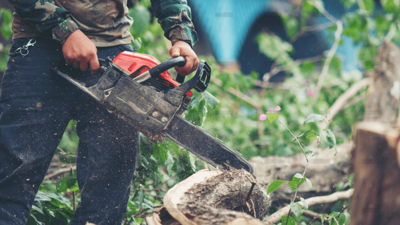 demo-attachment-1106-asian-man-cutting-trees-using-electrical-chainsaw